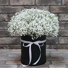 Цветочная композиция из Гипсофила в шляпной коробке #REPLACE_PRED# Мокроусово
